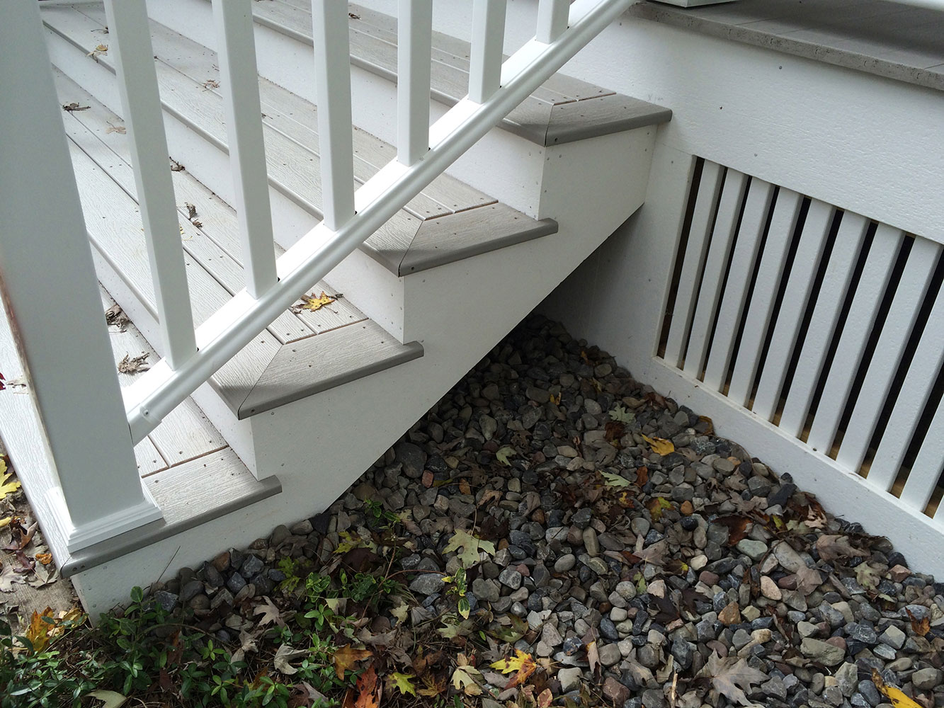 exterior_reed_front007